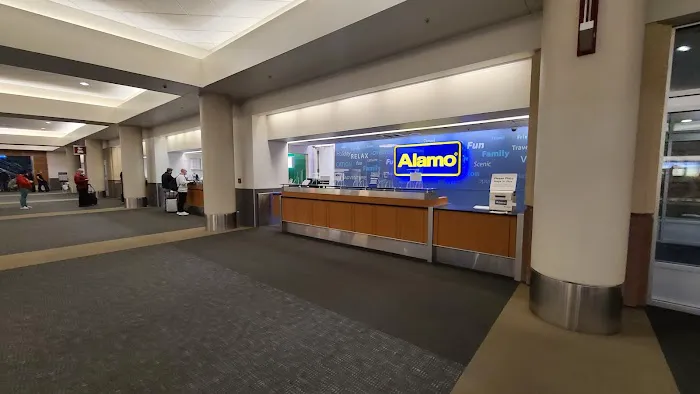 Alamo Rent A Car Picture 6