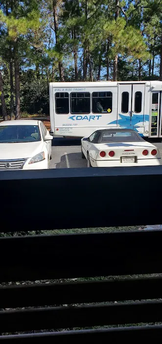 DART Picture 1