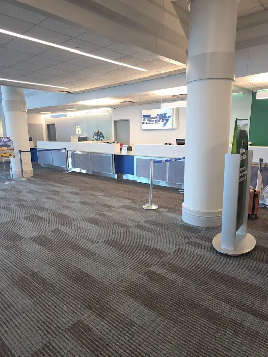 National Car Rental Picture 3