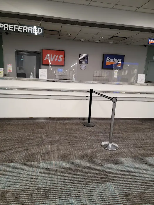 Avis Car Rental Picture 6