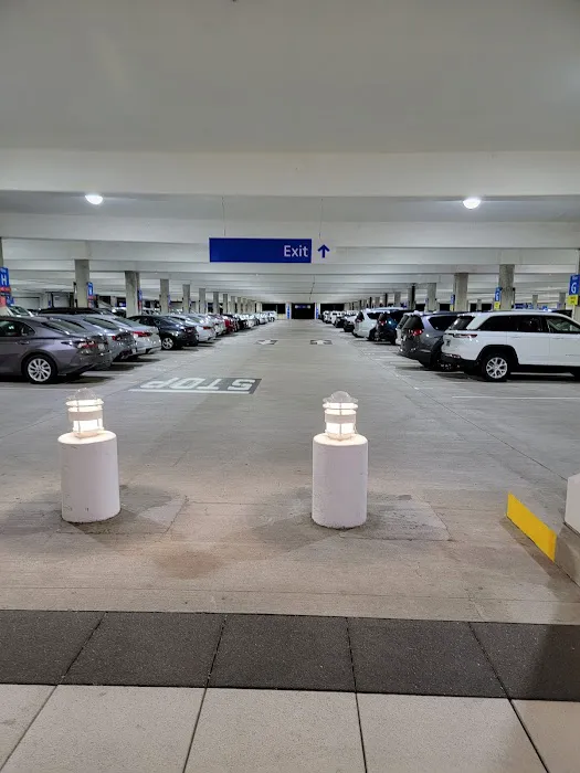 Avis Car Rental Picture 10