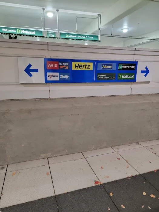 Avis Car Rental Picture 5