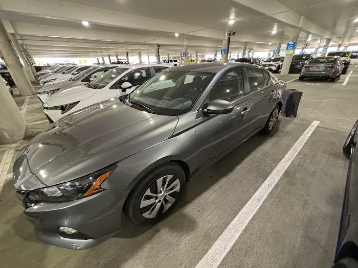 Avis Car Rental Picture 7