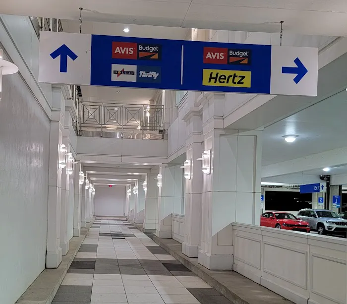 Avis Car Rental Picture 9