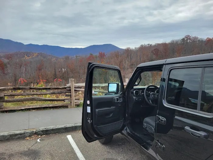 Avis Car Rental Picture 8
