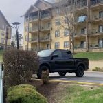 Dollar Car Rental