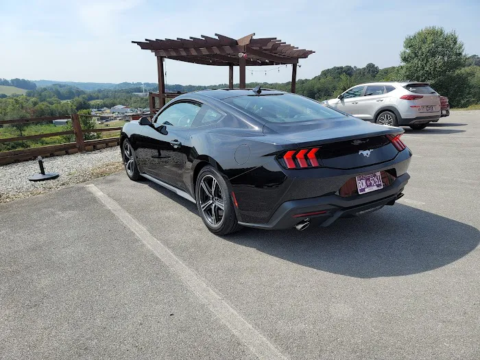 Budget Car Rental Picture 5