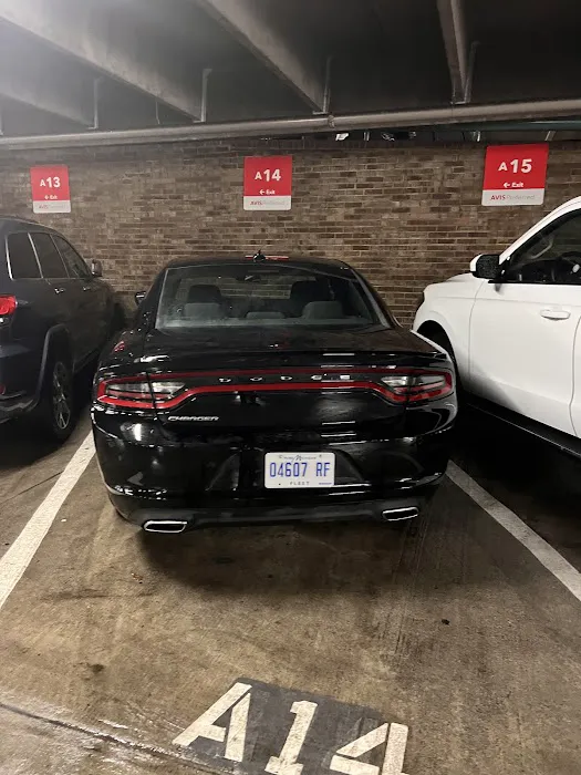 Budget Car Rental Picture 3