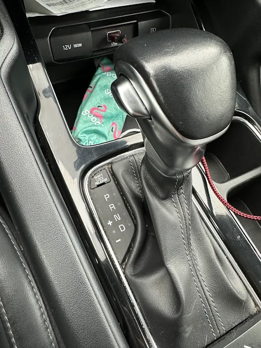 Payless Car Rental Picture 5
