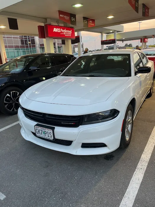 Budget Car Rental Picture 6