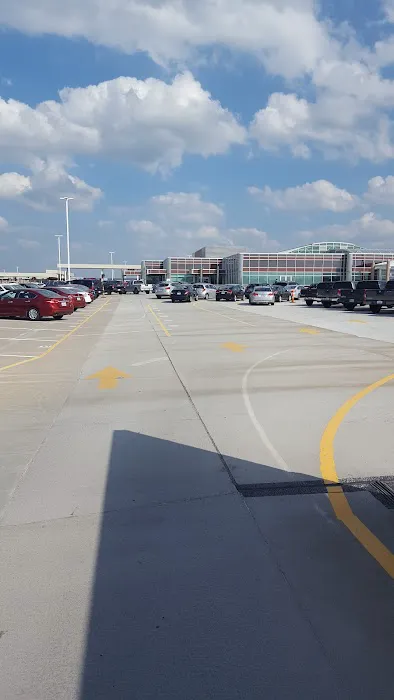 Payless Car Rental Picture 3