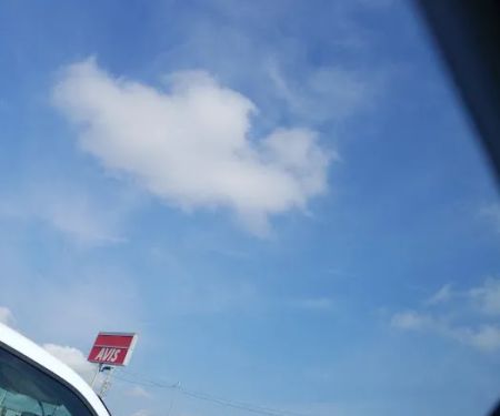 Avis Car Rental