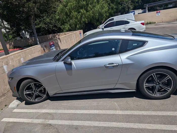 Avis Car Rental Picture 3