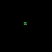 Lucky Riders Inc ico