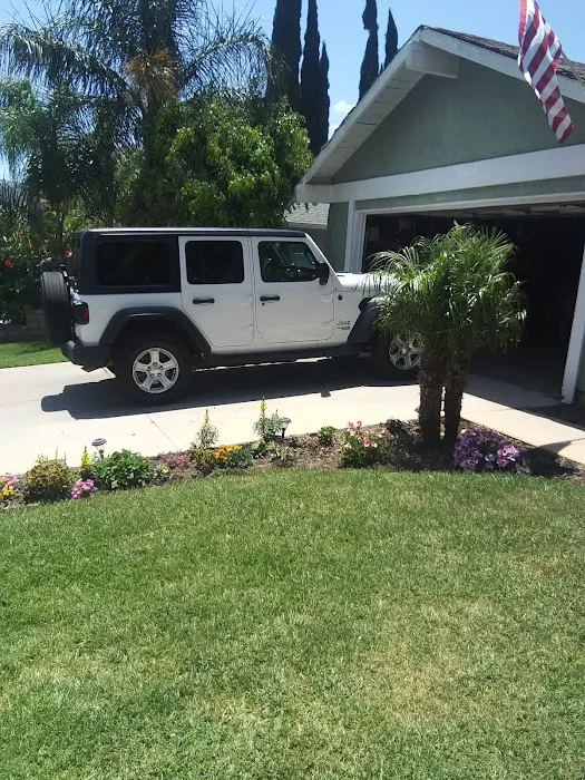 Budget Car Rental Picture 5