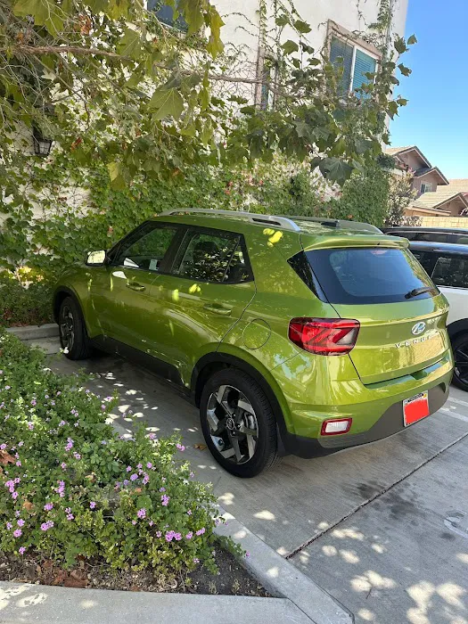 Dollar Rent a Car Picture 5
