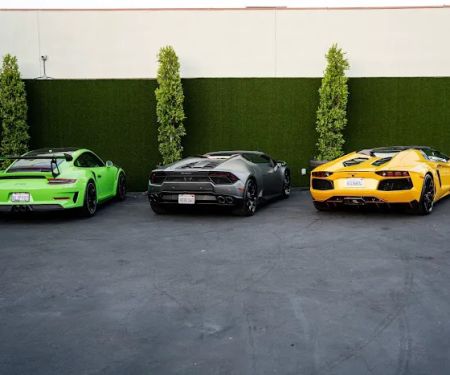 Rides Exotics