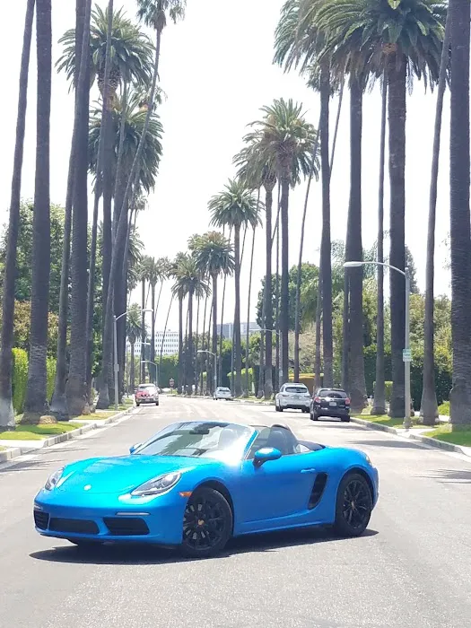 Rides Exotics Picture 10
