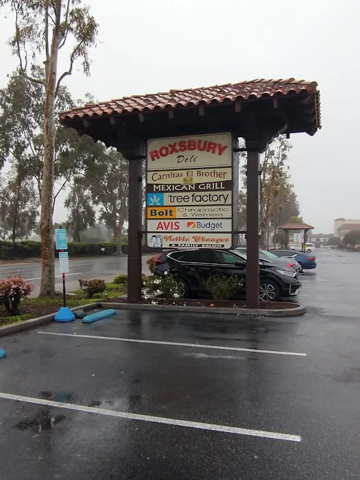 Avis Car Rental Picture 4