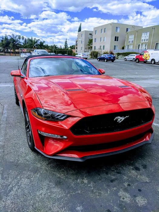 Budget Car Rental Picture 3