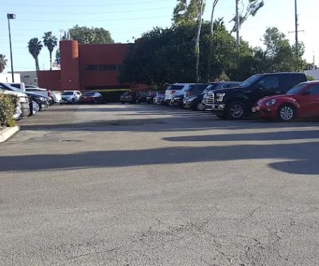 Avis Car Rental