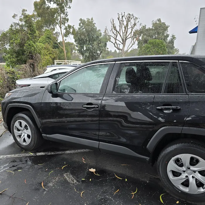 Avis Car Rental Picture 5