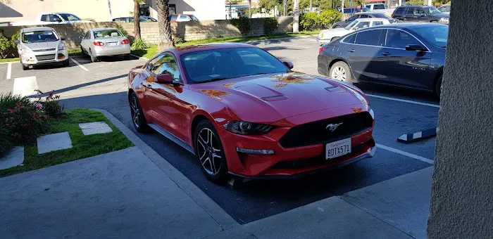 Avis Car Rental Picture 6
