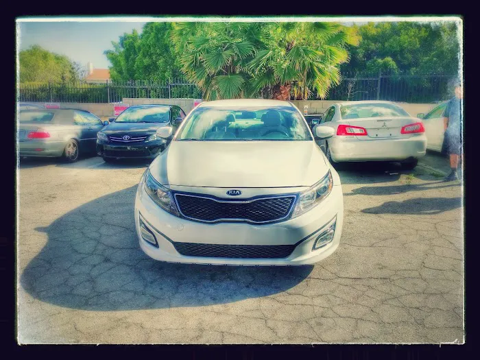 Car Rentals Picture 7