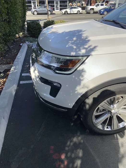 Budget Car Rental Picture 2