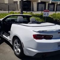 Avis Car Rental ico