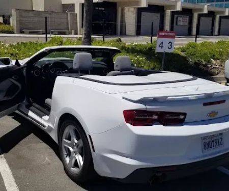 Avis Car Rental