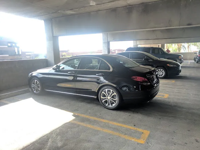 Alamo Rent A Car Picture 2