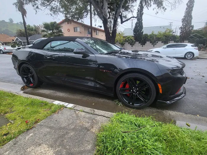 Alamo Rent A Car Picture 9