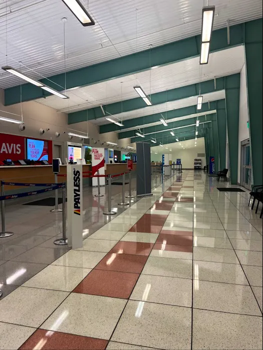 Avis Car Rental Picture 4