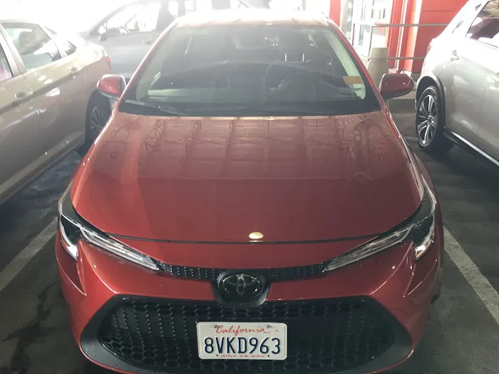 Avis Car Rental Picture 7