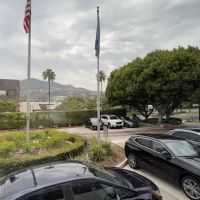 Avis Car Rental ico