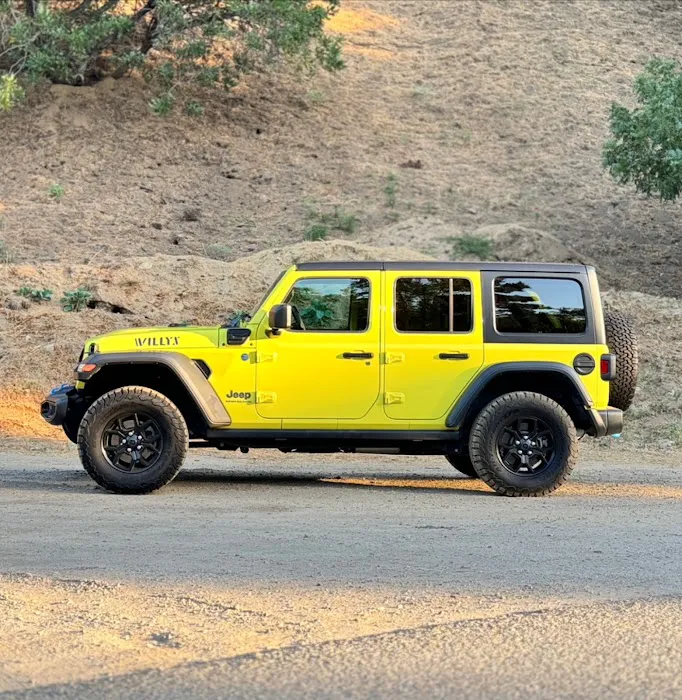 Chosen Cars Picture 2