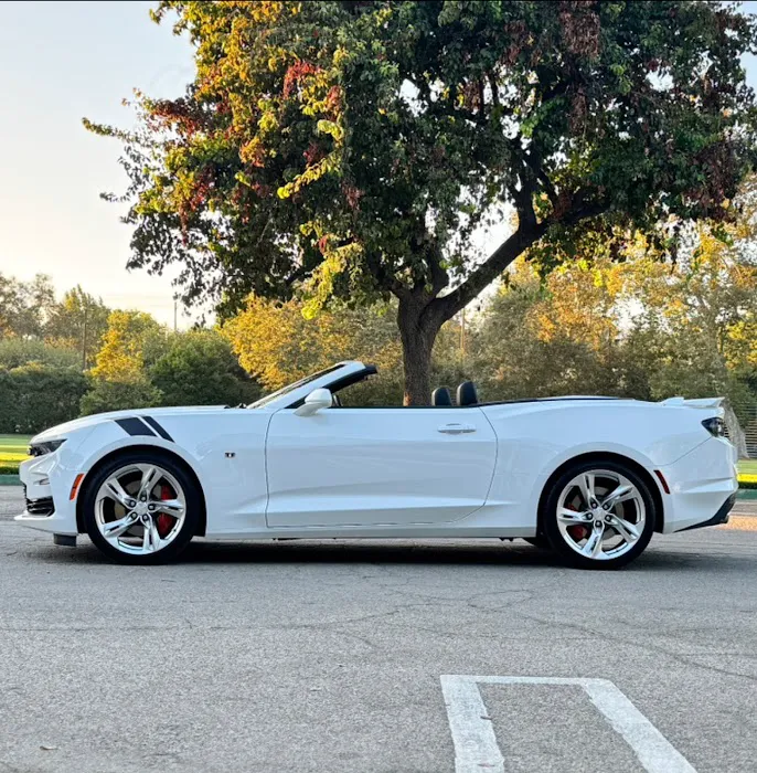 Chosen Cars Picture 10