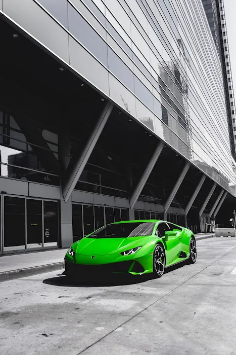 VEM Exotic Rentals Picture 6