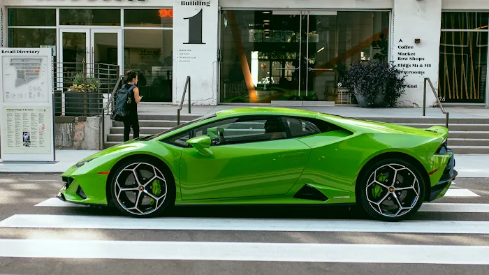 VEM Exotic Rentals Picture 4