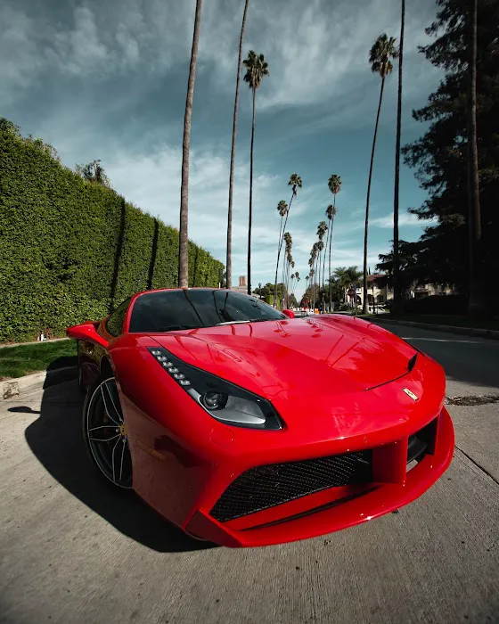 VEM Exotic Rentals Picture 3