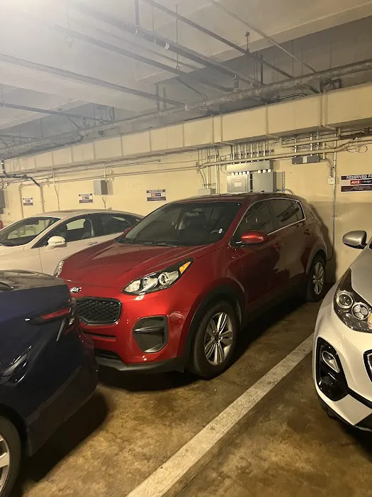Avis Car Rental Picture 6