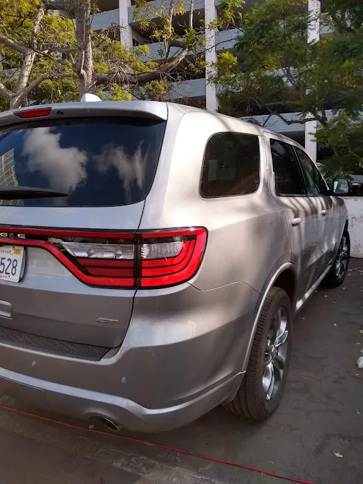 Avis Car Rental Picture 1