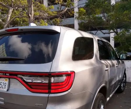 Avis Car Rental