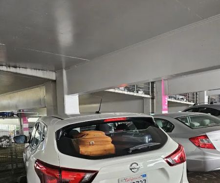 Rental Elephant