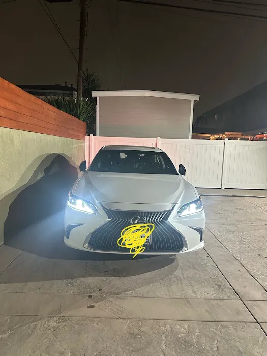 Rental Elephant Picture 4
