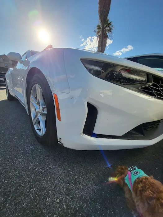 Avis Car Rental Picture 4