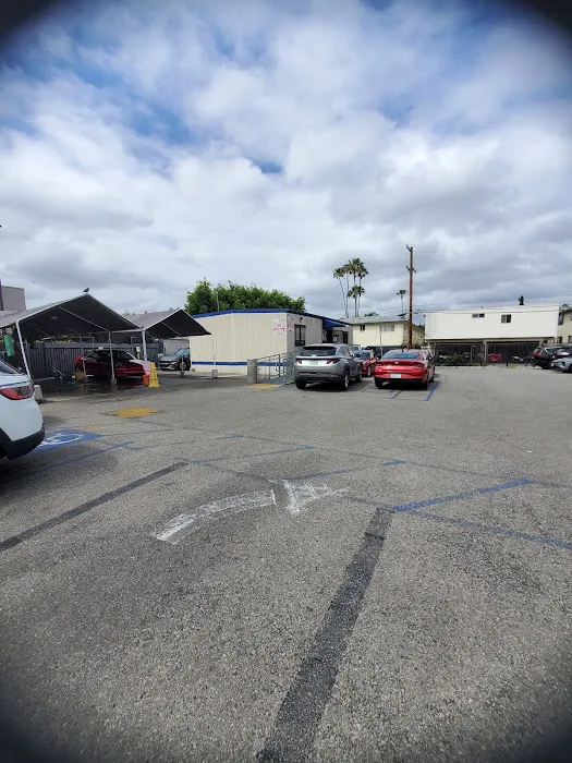 Avis Car Rental Picture 3