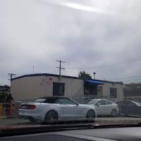 Avis Car Rental ico