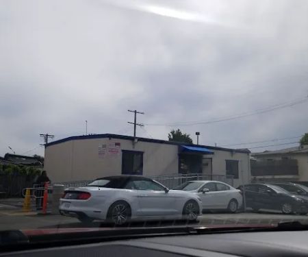 Avis Car Rental